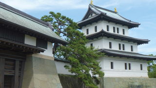 池に浮かぶ蓮の花が美しい