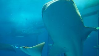 冬の平日でも人が多かった