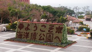 イルカショーが無料。