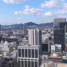 窓際からの眺望です