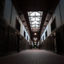 見入ってしまいます。