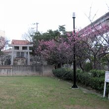 東之御嶽、向かって左側は牧志御嶽