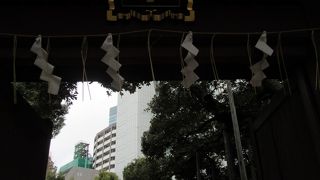 渋谷駅に近い、歴史ある神社。金王桜で有名