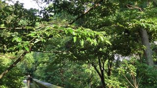 お寺とマッチしたレンガ造りの水道橋