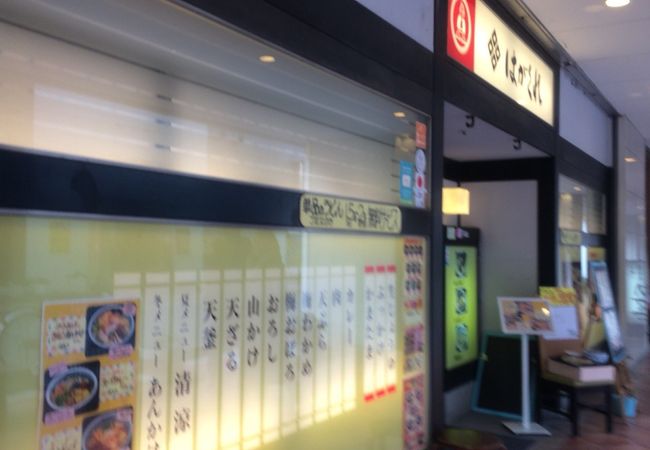 歯ごたえ抜群の讃岐うどん