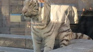 広くてよいです