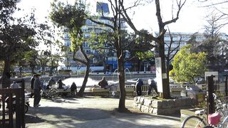 夜中の清水池公園