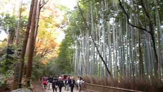 紅葉のシーズンは流れに逆らえません