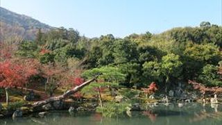 お庭をゆっくりと見る方の為に、椅子が用意されていて、ゆったりとした時間を堪能する為、ゆったりと座って、自然の美しさを感じる事ができます。