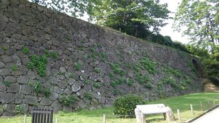 見比べると面白いカモ？