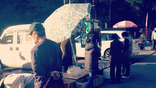 規模は小さい、かな