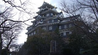 黒のお城で珍しいです。