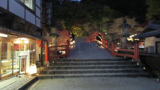 紅葉のライトアップ