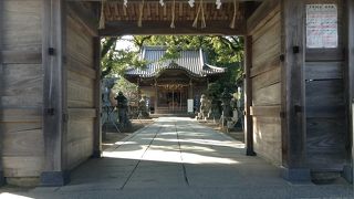 諏訪神社  唐津