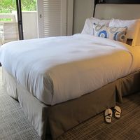 ガーデン側のツインです。