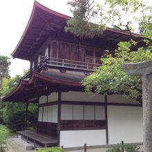 かなり近くまで寄れますよー