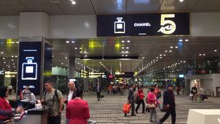 大きくて充実した施設