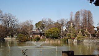 近隣住民の憩いの場！？