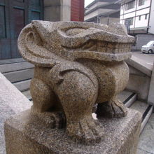 彼らが周囲を取り囲んでいます（笑）