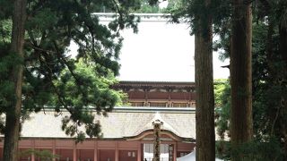 根本中堂が素晴らしい！