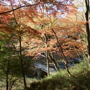 もみじの紅葉が色鮮やか「嵐山渓谷」