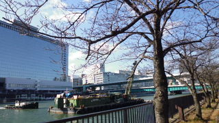 天満橋脇の公園