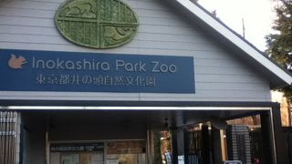 動物に触れられるコーナーもある