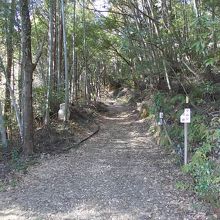 歩きの登山道は本格的山道です