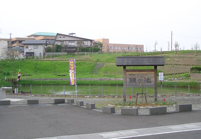 親鸞ゆかりの池