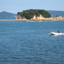 とてもきれいです