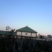 川口の善光寺