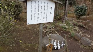 亀石の隣りにあります