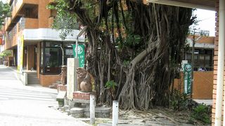 沖縄らしい風情溢れる町並み