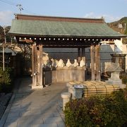 手水舎には、こちらのお寺は淡路島七福神の総本院らしく、全ての七福神が両手を広げてお出迎えしてくれています。