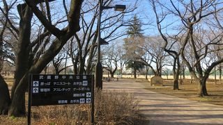 中島飛行機跡地に広がる広大な都立公園