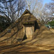 古代住居跡と復元住居が見学できます