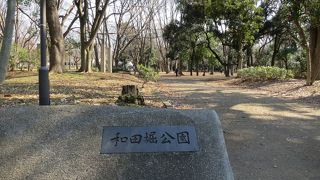 春は桜がきれいです