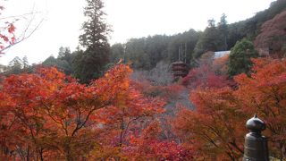 私の一番お気に入りのお寺です