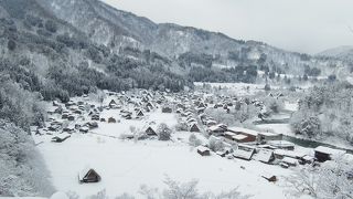 1000円で記念写真のサービス