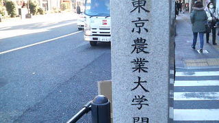 榎本武揚が大元を作ったそうです