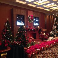 共用部装飾は満足