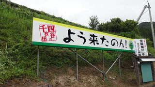 よう来たのん！　圧巻の棚田風景