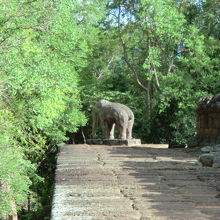 四隅の象。お尻もかわいい