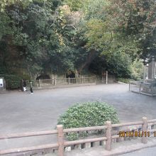 潜伏していた洞