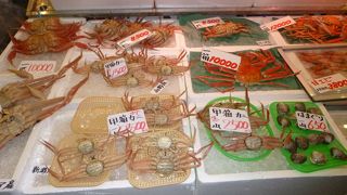 見ているだけで楽しいです。