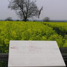 ボズワース古戦場