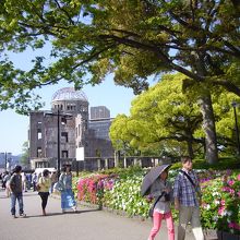 鮮やかな春の花が対照的です
