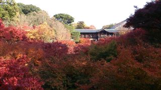 秋の東福寺はきれい！！！