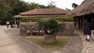 ちょっとしたショーダンスも見れる