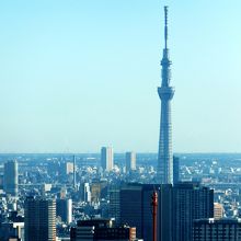 スカイツリー